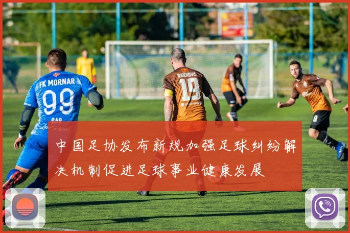 中国足协发布新规加强足球纠纷解决机制促进足球事业健康发展