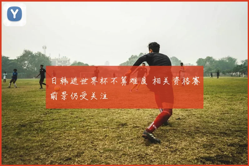 日韩进世界杯不算难度 相关资格赛前景仍受关注