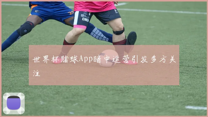 世界杯赌球App暗中运营引发多方关注
