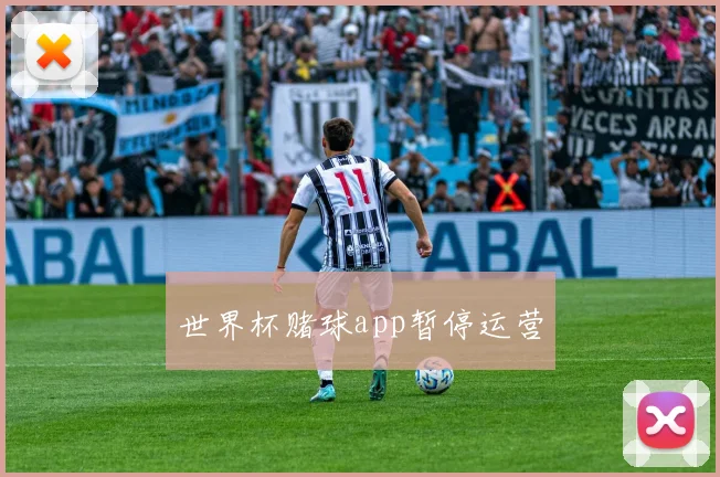 世界杯赌球app暂停运营