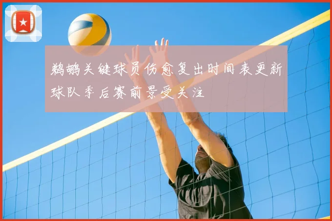 鹈鹕关键球员伤愈复出时间表更新球队季后赛前景受关注