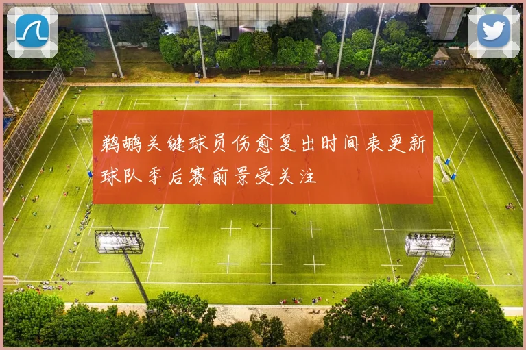 鹈鹕关键球员伤愈复出时间表更新球队季后赛前景受关注